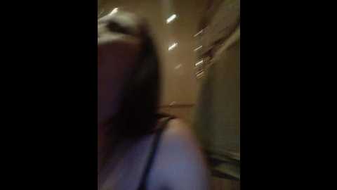 totodasha