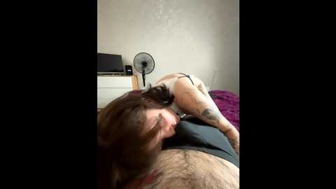 meow_10