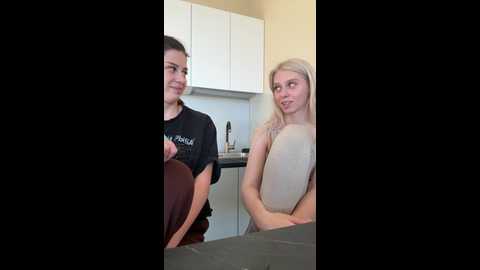 vibromashulkadashulka