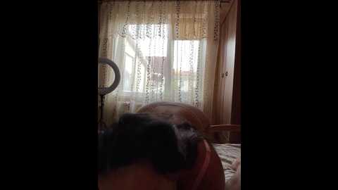 3hotandyoung3