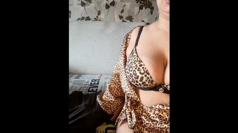 cat_bars69