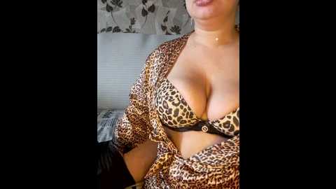 cat_bars69