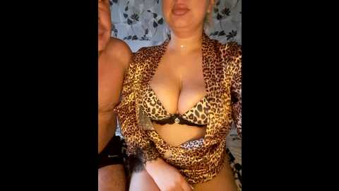 cat_bars69