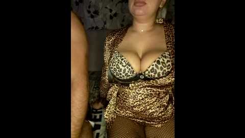 cat_bars69
