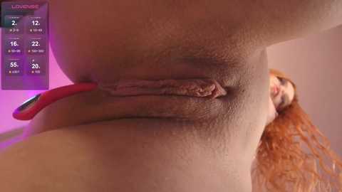 _miray_