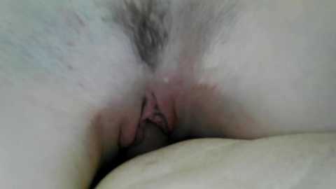 sexyfoxy04