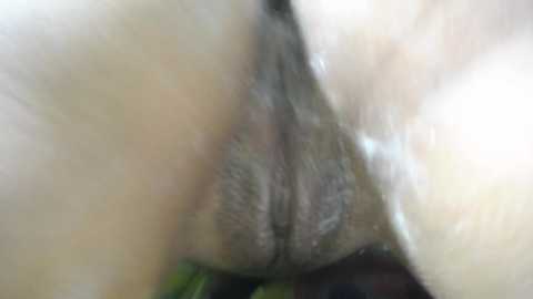 Media: emilyvalencia Bongacams 2025-10-11 06:48:00