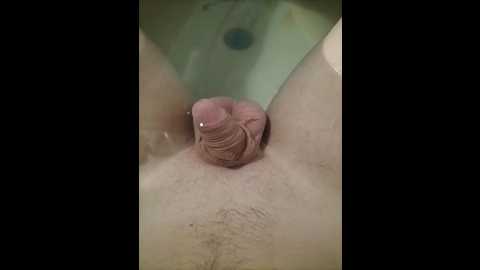 alexander88_1