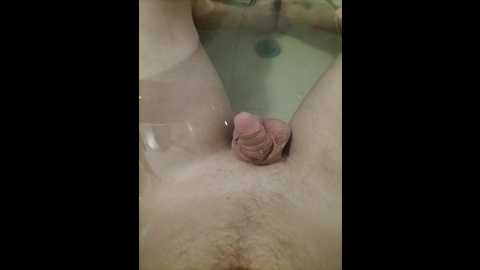 alexander88_1