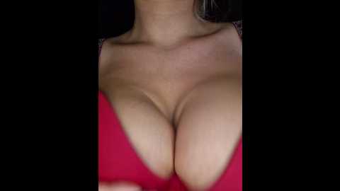 bielka_4