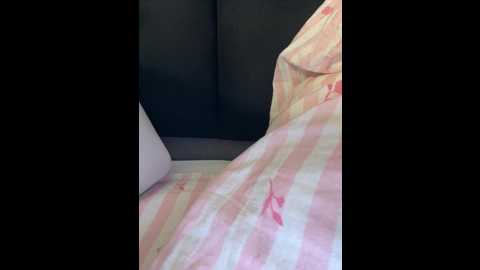 millemimi