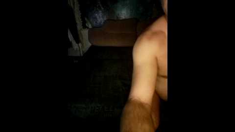 cat_bars69