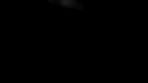 artylaa