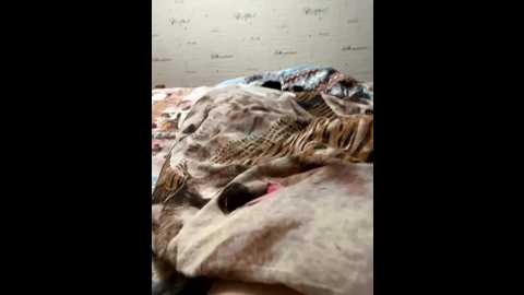 Media: devochka1010 Bongacams 2025-10-18 12:57:00