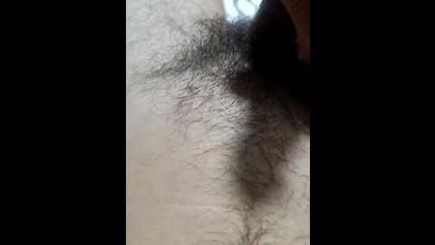 gumalis13