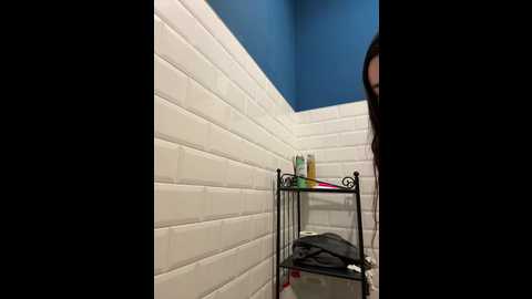 nikkysecrets