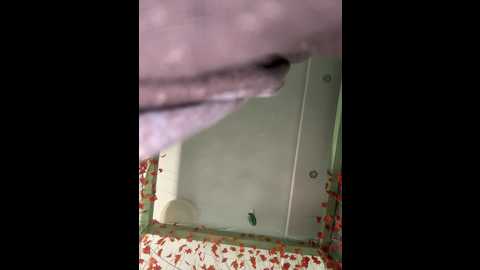 Media: anitashine Bongacams 2025-10-21 05:21:00