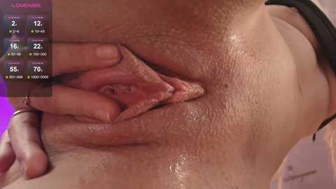 _miray_