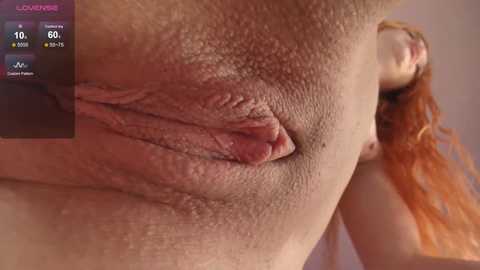 _miray_