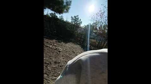 _pypsiki_