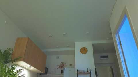 lili_roze