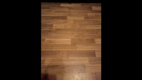 Media: sweetcontakt Bongacams 2025-10-23 17:33:00