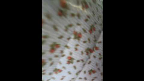 Media: orgazmia Bongacams 2025-10-24 12:36:00