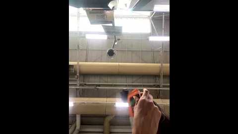 Media: sallyeleins Bongacams 2025-10-24 16:54:00