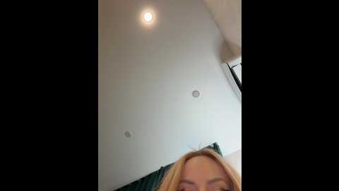 ellidi