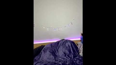 alissalexx