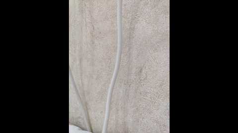 Media: angelia22 Bongacams 2025-10-26 21:41:00