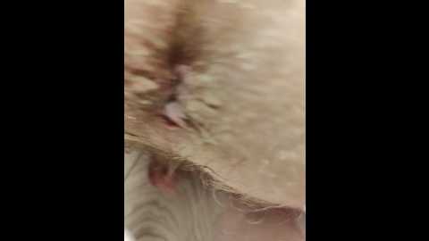 Media: innokentiy449 Bongacams 2025-10-28 06:21:00