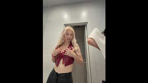 vibromashulkadashulka