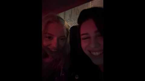 vibromashulkadashulka