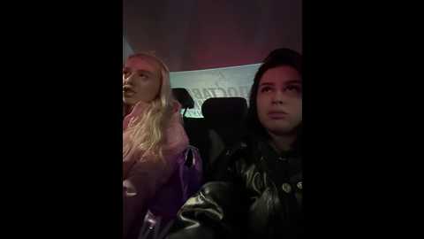 vibromashulkadashulka