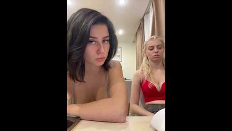 vibromashulkadashulka