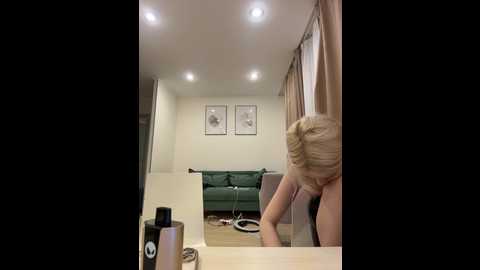 vibromashulkadashulka