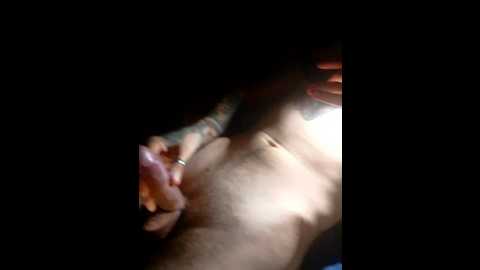 Media: di_quodnone Bongacams 2025-11-04 02:12:00