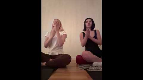 vibromashulkadashulka