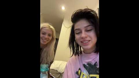 vibromashulkadashulka