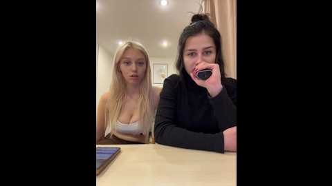 vibromashulkadashulka