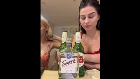 vibromashulkadashulka