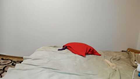 inocent_student17 @ chaturbate on 20230828