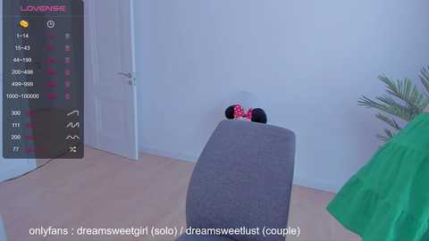 Media: dreamsweetgirl Chaturbate 2023-09-01 13:13:00