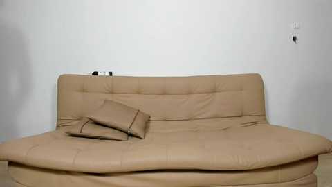 Media: loving_ladies Chaturbate 2023-09-01 16:58:00