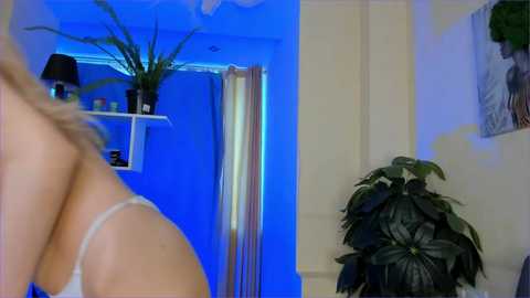 sofiabruno @ chaturbate on 20230902