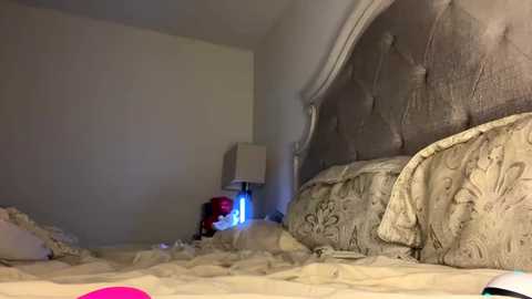 Media: x_dreamgirl_x Chaturbate 2023-09-02 08:30:00