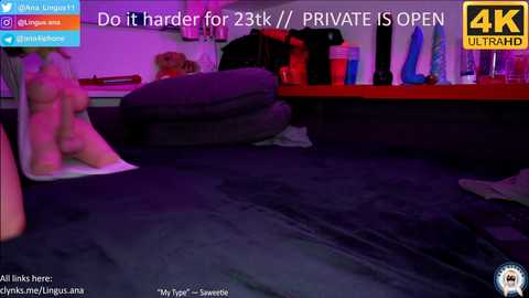 Media: ana__lingus Chaturbate 2023-09-03 20:52:00