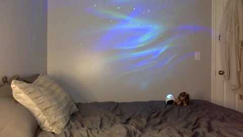 Media: sunshinedarling1 Chaturbate 2023-09-04 06:40:00