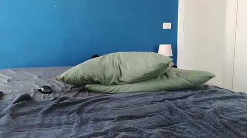 Media: adarabunny Chaturbate 2023-09-05 10:26:00